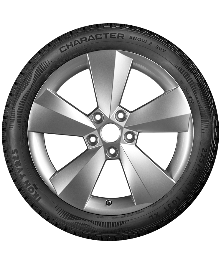 Ikon (Nokian Tyres) Character Snow 2 SUV 245/65 R17 111R (XL) заказать